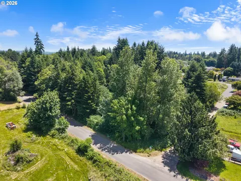 0 8th St, Vader, WA 98593 photo 8