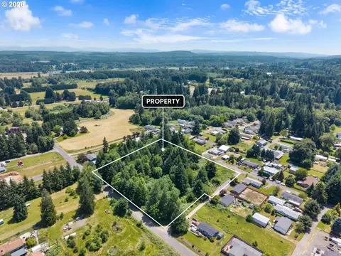 0 8th St, Vader, WA 98593 photo 10