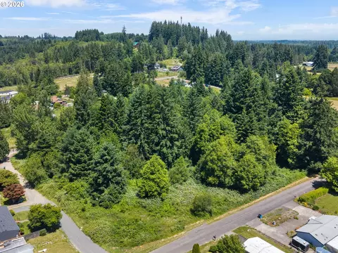 0 8th St, Vader, WA 98593 photo 5