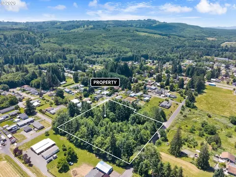 0 8th St, Vader, WA 98593 photo 9