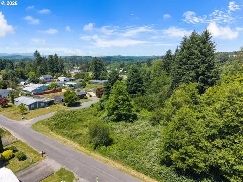 0 8th St, Vader, WA 98593 photo 6