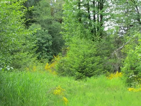 62700 NW Cochran Rd, Timber, OR 97144 photo 1