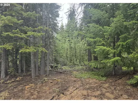 5 Royce Pne, Crescent Lake, OR 97733