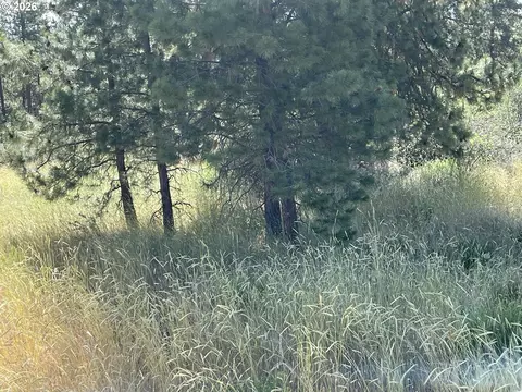 s. chiloquin road, Chiloquin, OR 97624 photo 6