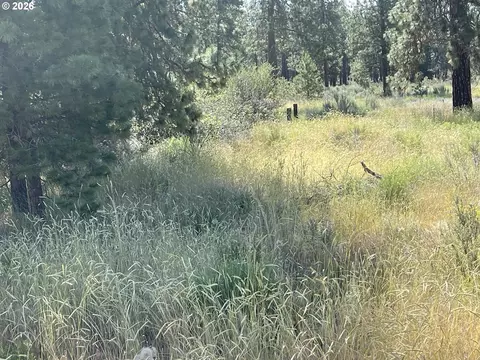 s. chiloquin road, Chiloquin, OR 97624 photo 4