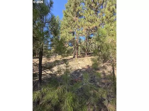Dewey, Sumpter, OR 97877 photo 6