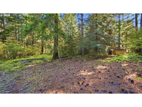 7 Mill Rd, Appleton, WA 98602 photo 9