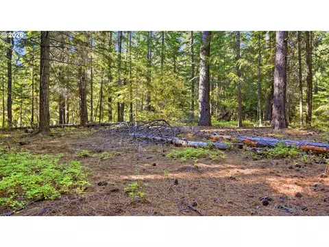 7 Mill Rd, Appleton, WA 98602 photo 12