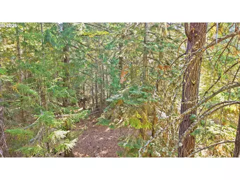 7 Mill Rd, Appleton, WA 98602 photo 13