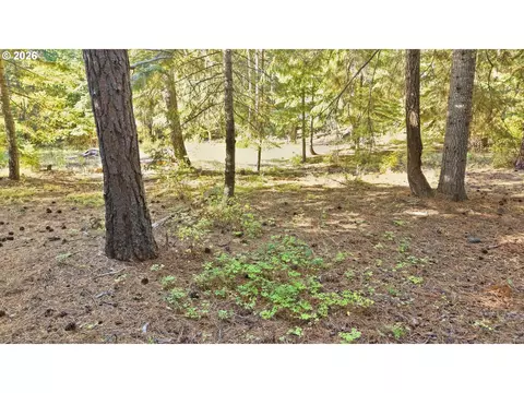 7 Mill Rd, Appleton, WA 98602 photo 8