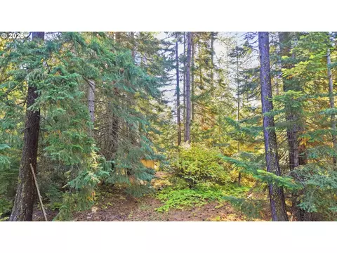 7 Mill Rd, Appleton, WA 98602 photo 10