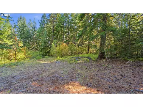 7 Mill Rd, Appleton, WA 98602 photo 3