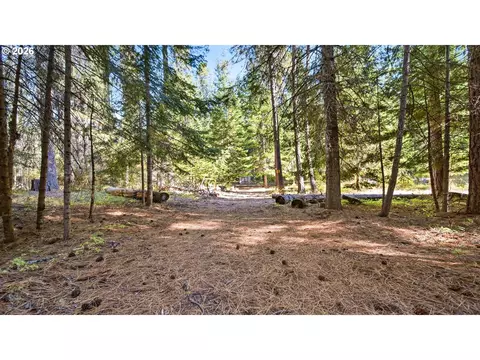 7 Mill Rd, Appleton, WA 98602 photo 6