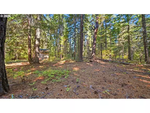 7 Mill Rd, Appleton, WA 98602 photo 11