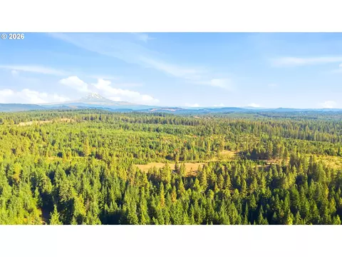 7 Mill Rd, Appleton, WA 98602 photo 5