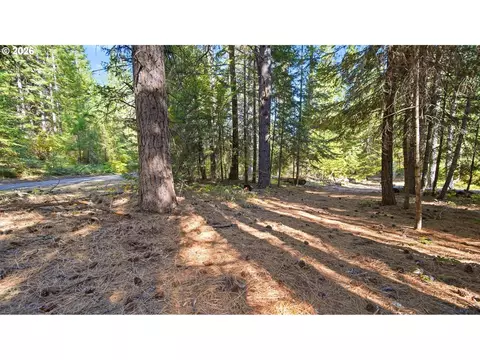 7 Mill Rd, Appleton, WA 98602 photo 7