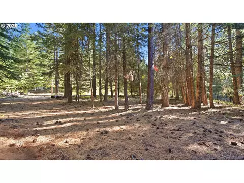 7 Mill Rd, Appleton, WA 98602 photo 14
