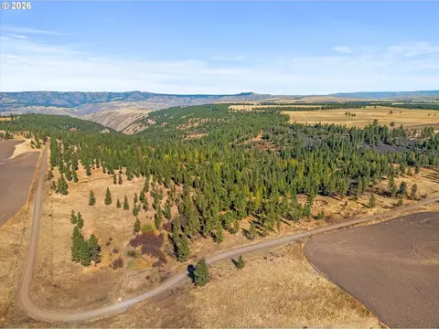 View/Area - 84227 Sunny Glade Rd, Enterprise, OR 97828 photo 2 of 5