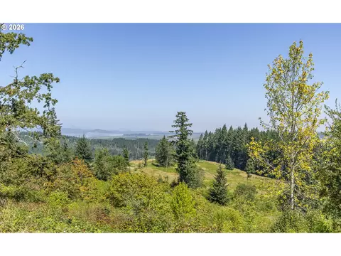 View/Area - 86616 Pine Grove Rd, Eugene, OR 97402 photo 2 of 6