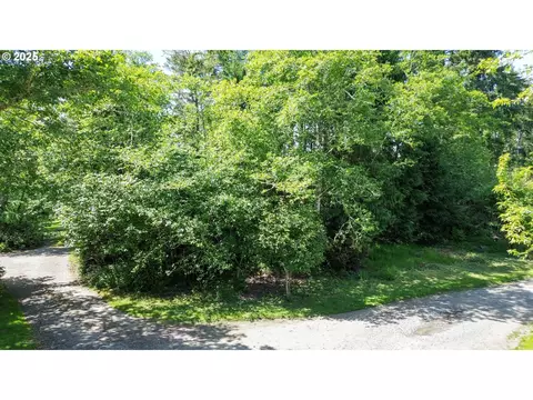 y ln, Ocean Park, WA 98640