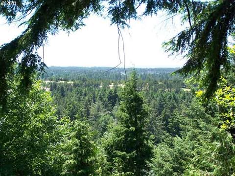 Ocean View Dr, Florence, OR 97439 photo 3