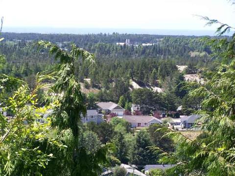 Ocean View Dr, Florence, OR 97439 photo 5