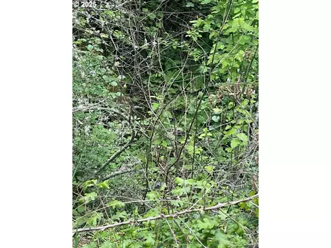 Carson Depot Rd, Carson, WA 98610 photo 9