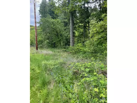 Carson Depot Rd, Carson, WA 98610 photo 3