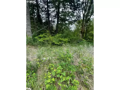 Carson Depot Rd, Carson, WA 98610 photo 8