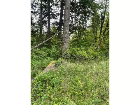 Carson Depot Rd, Carson, WA 98610 photo 6