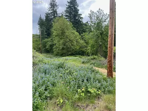 Carson Depot Rd, Carson, WA 98610 photo 4