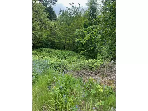 Carson Depot Rd, Carson, WA 98610 photo 2