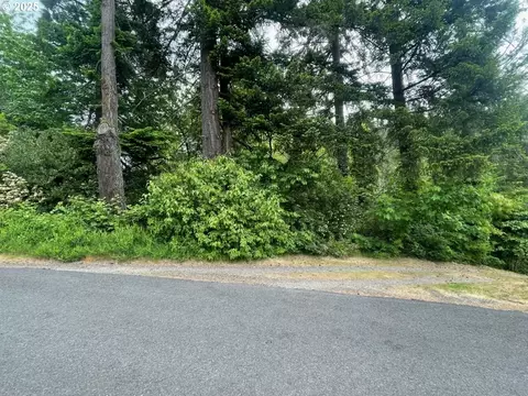 Carson Depot Rd, Carson, WA 98610 photo 5