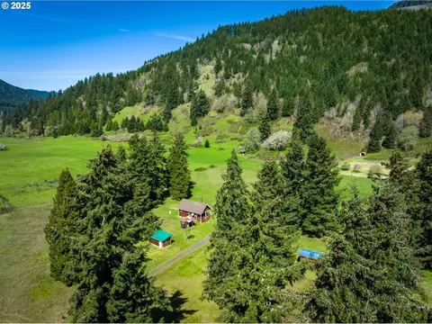 38305 Lower Brice Creek Rd, Dorena, OR 97434