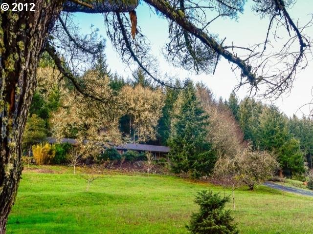 35465 Mckenzie View Dr, Springfield, OR 97478 photo 1