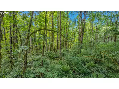 29805 Gregory Rd, Rainier, OR 97048 photo 38