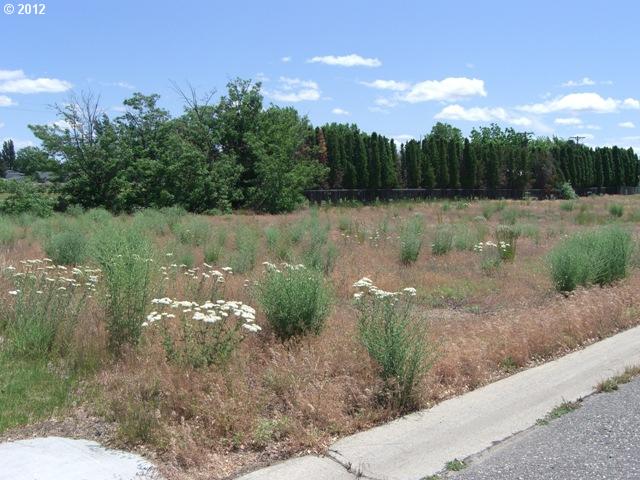325 Marshall Loop, Boardman, OR 97818 photo 1