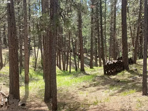 Bear Gulch Rd, Sumpter, OR 97877 photo 19