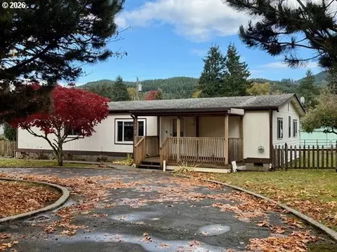 110 Morse St, Ryderwood, WA 98581