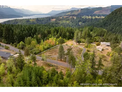 21 Cochran Ln, Home Valley, WA 98648