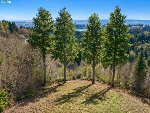 669 Sommerset Rd #36, Woodland, WA 98674