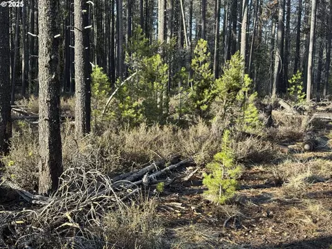 artesian dr, Chiloquin, OR 97624