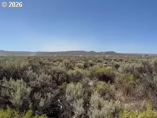 oster farms ln, Christmas Valley, OR 97641