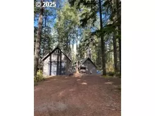 Cabin 41 Northwoods, Cougar, WA 98616