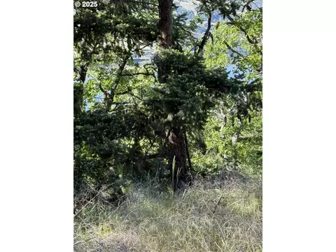 coyote ct LOT 44, Mosier, OR 97040