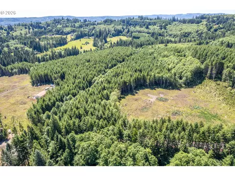 Orion, Longview, WA 98632 photo 8