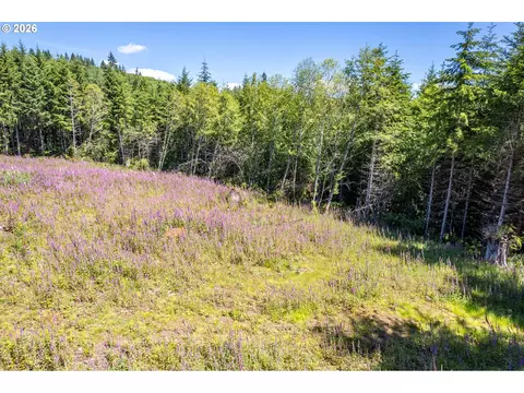 Orion, Longview, WA 98632 photo 6