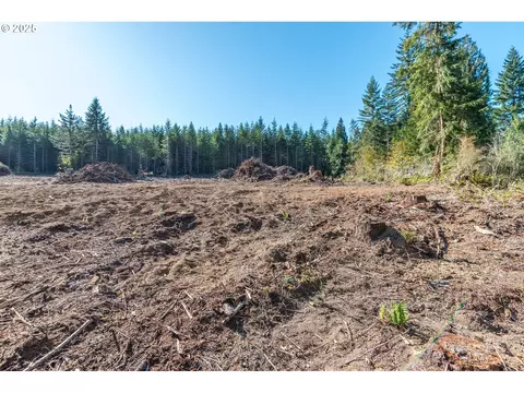 Orion, Longview, WA 98632 photo 3