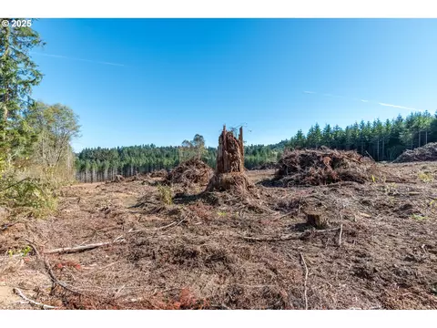 Orion, Longview, WA 98632 photo 2