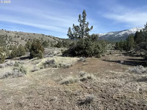 0 Blue Gulch Rd, John Day, OR 97845 photo 3